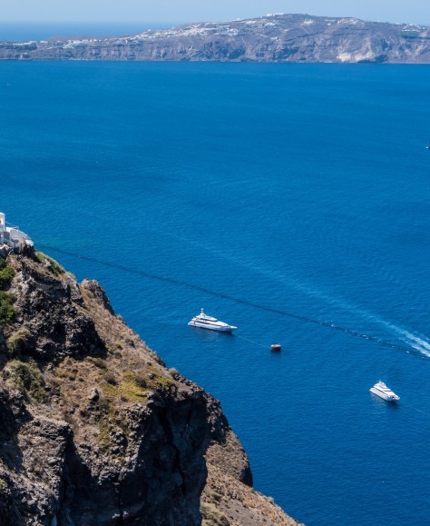 粉象生活淘宝商家版