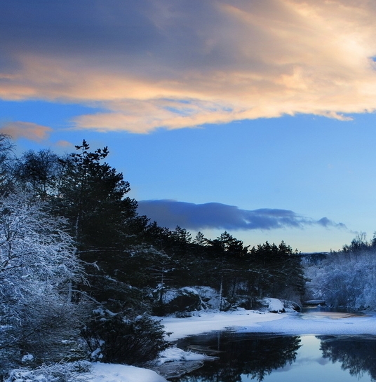 宿迁粉象生活加盟