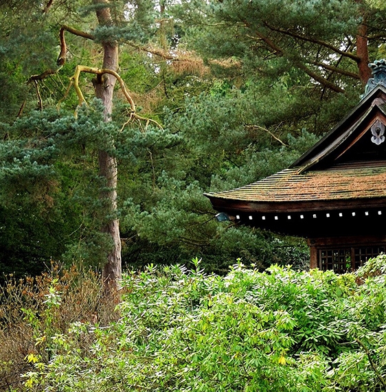 粉象生活是什么?