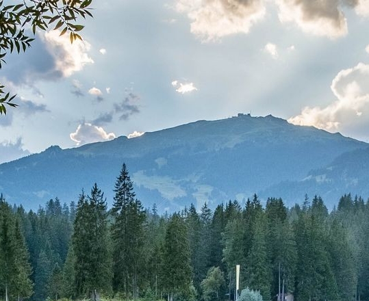 惠州粉象生活注册