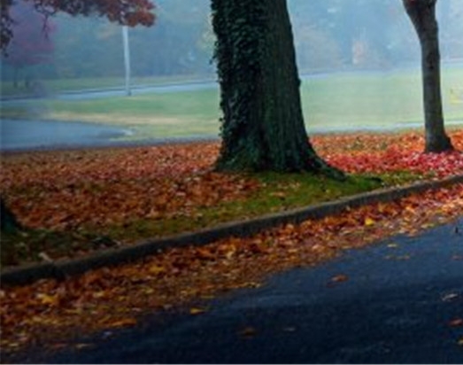 粉象生活粉丝怎么增加