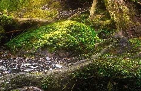 建行生活肯德基券