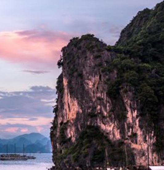 粉象生活可以买什么