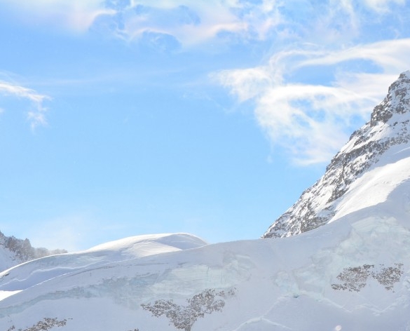 粉象生活收入提成