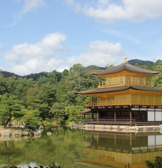 粉象生活省钱APP