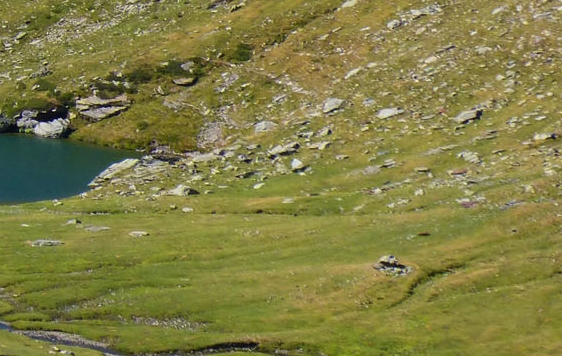 粉象生活分享后怎么没有佣金