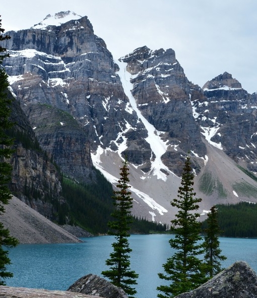 加入有象出行都需要什么