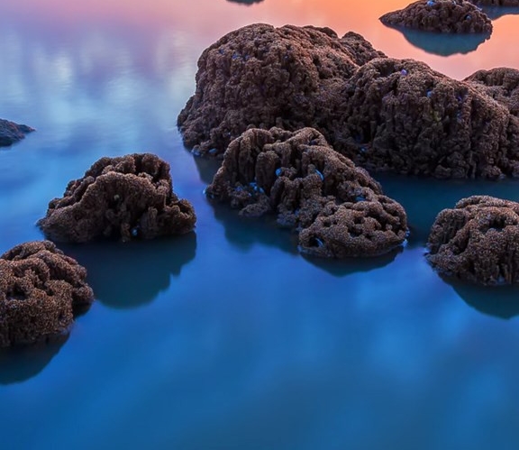 粉象生活项目推广粉象生活