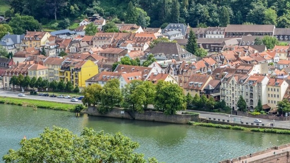 莆田文献生活官网