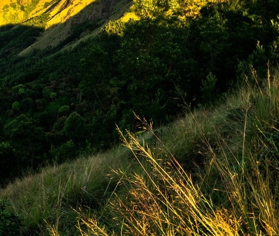 粉象生活赚钱看视频答案