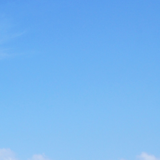 粉象生活是干嘛的