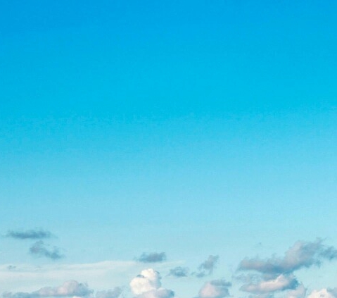 浅粉象啤酒属于什么啤酒