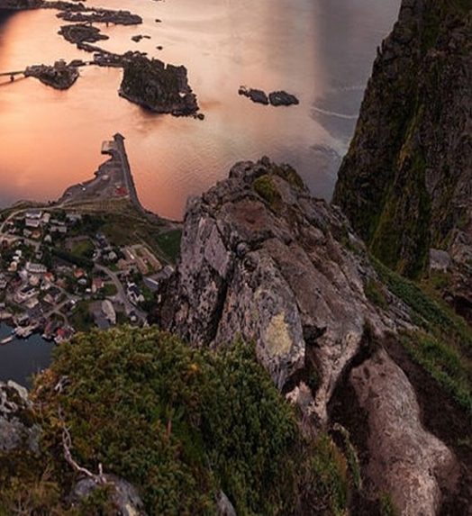 网上购物粉象生活