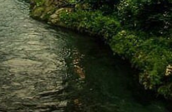 粉象生活怎么赚钱