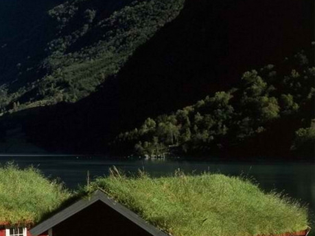 粉象生活升级后大概几天才看到收入