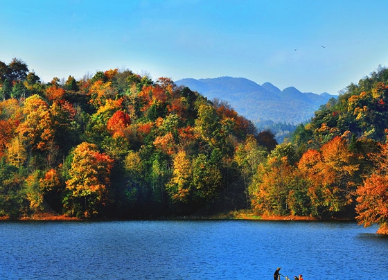 粉象生活邀请码