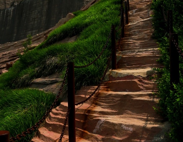 粉象生活的专利