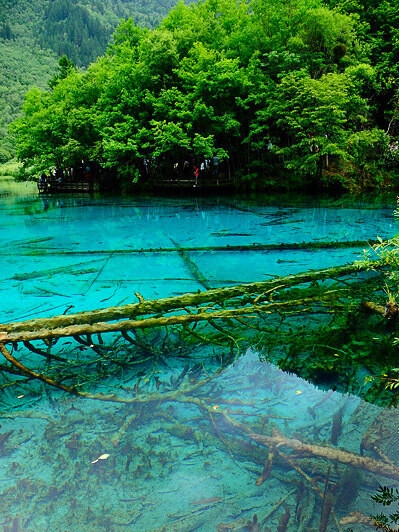 吉林加盟粉象生活怎么赚钱