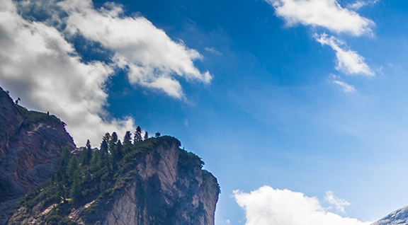 粉象生活团队怎么注册