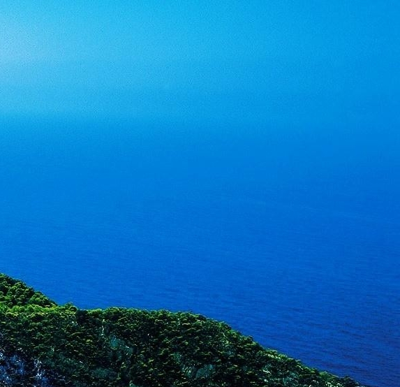 粉象生活加盟团队