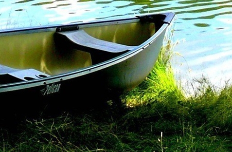 粉象生活加油图片