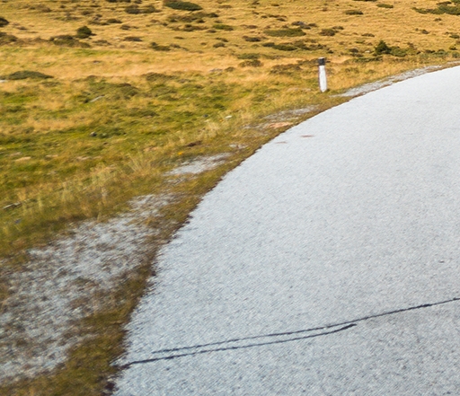 粉象生活的神器