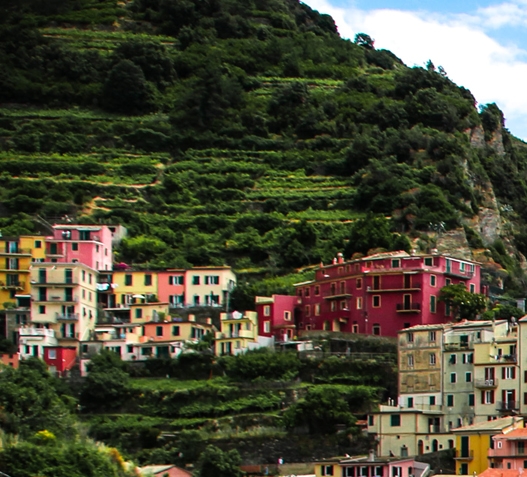 怎样在粉象生活里抢口罩