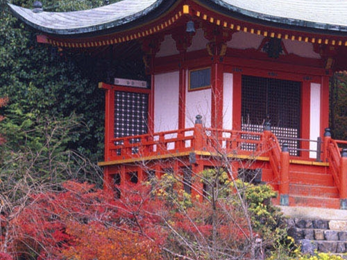 粉象生活真的能赚到钱吗