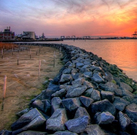 粉象生活是东西好不好