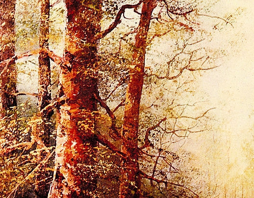 深粉象配什么好喝