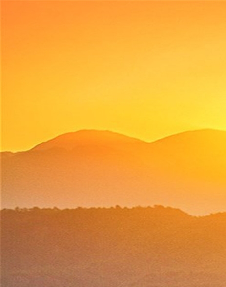 粉象是什么平台