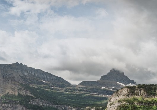 粉象生活红包口令