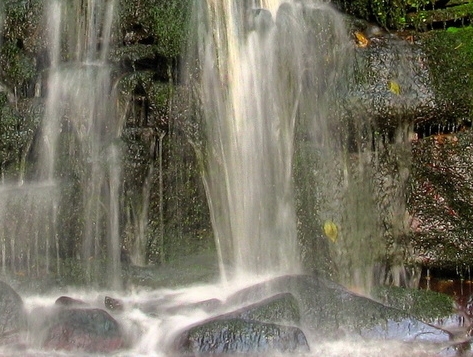 惠州粉象生活使用教程