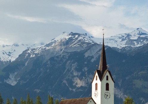 粉象生活团队邀请码怎么填