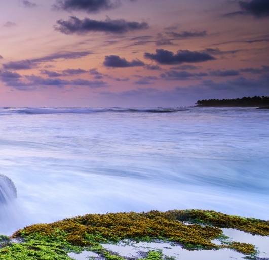 粉象生活营销战略