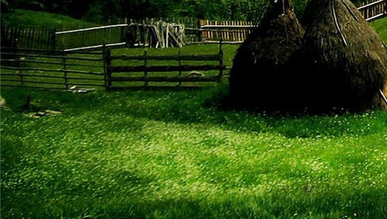 粉象生活能赚到钱吗