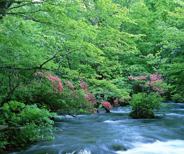 粉象生活邀请码填谁的,谁就可以赚钱吗