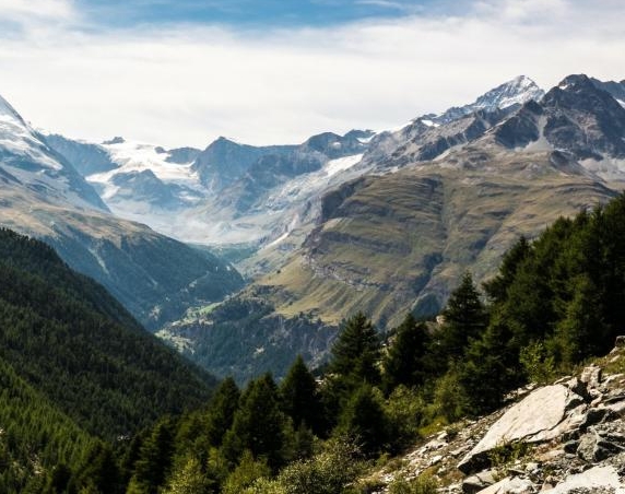粉象生活升级太难