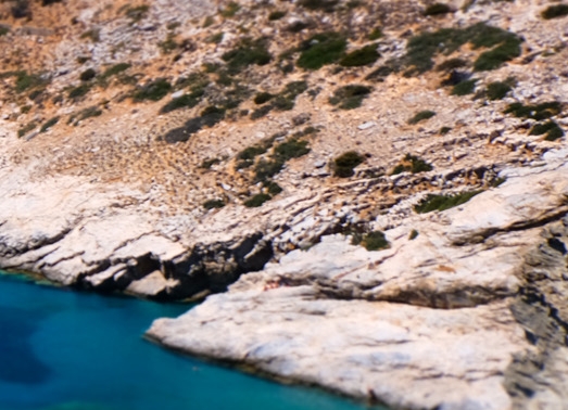 粉象生活粉丝怎么增加