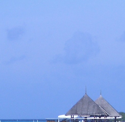 粉象生活推广海报