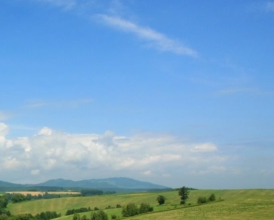 粉象生活app文案