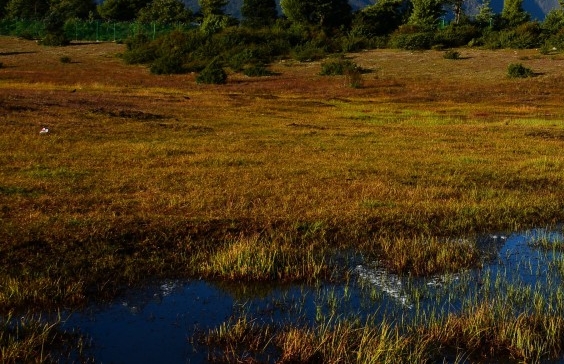 粉象生活如何推广赚钱
