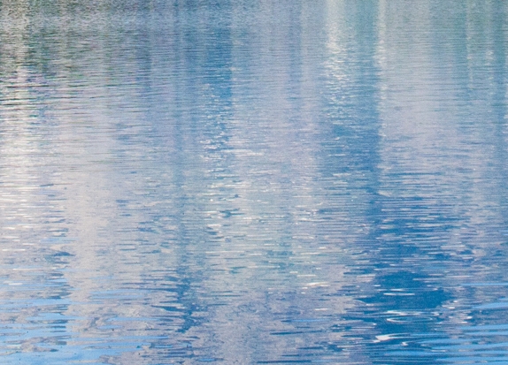 粉象生活下载app