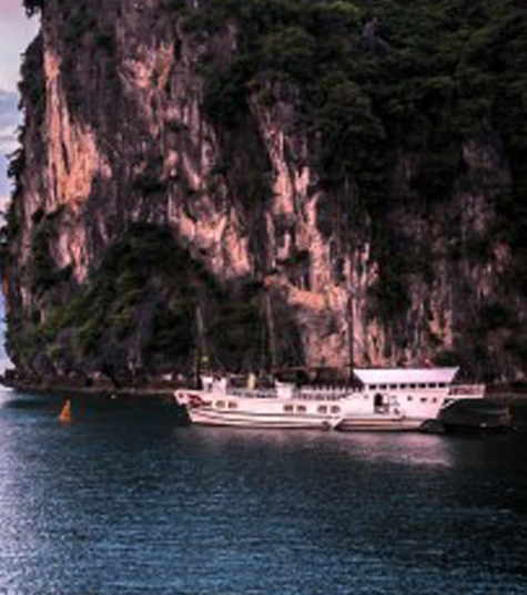 粉象生活怎么赚钱