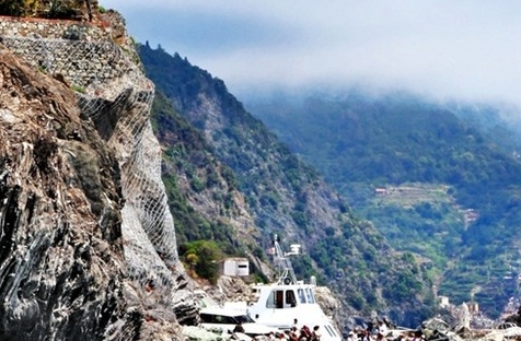 粉象生活真实收入