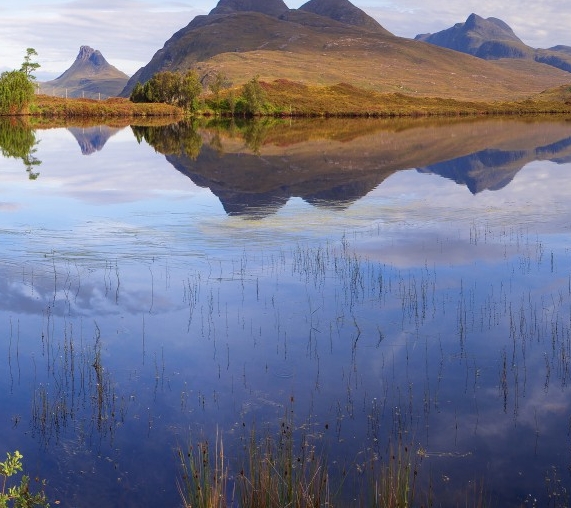 粉象生活如何添加淘宝客