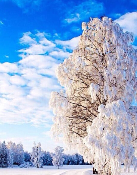 粉象生活 花生日记