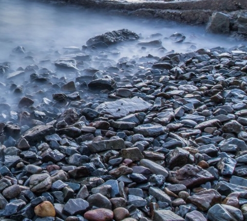 广东分享粉象生活推广