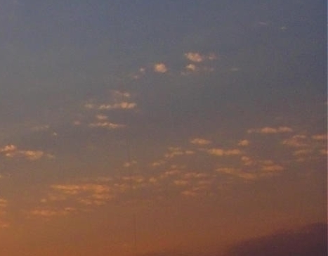 粉象生活官网首页