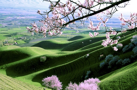 粉象生活软件安全吗